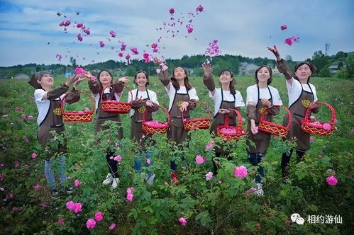 母親節花語獻禮 深圳游仙七朵仙花，獻給最美的她