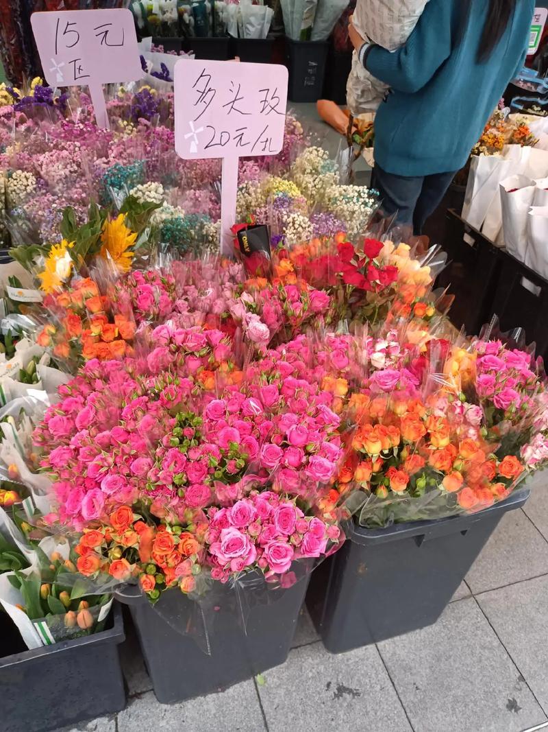 深圳荷蘭花卉小鎮(zhèn) 花的世界，花的海洋，群芳競艷百花齊放