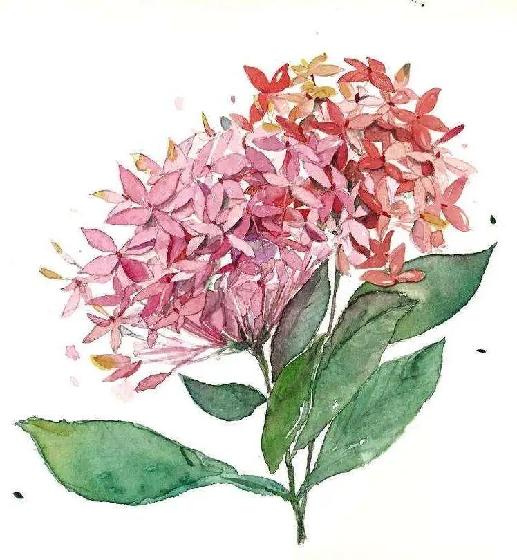 走！出門打卡深圳這“花花世界”