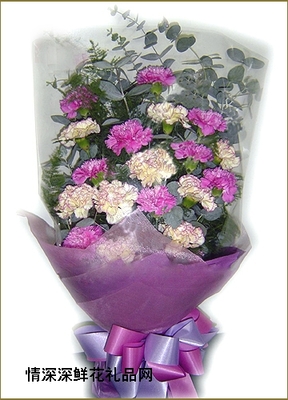 深圳花卉 都市繁華中的自然詩(shī)篇