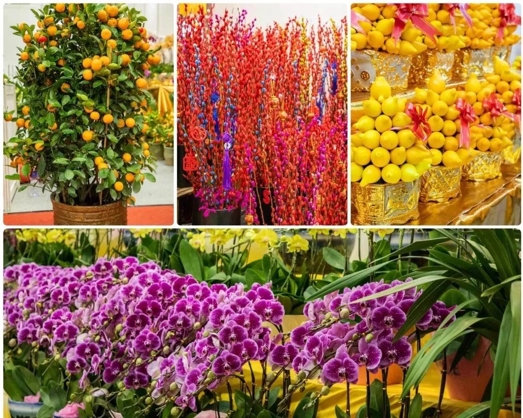 花漾鵬城，新春有約 3200個(gè)購(gòu)花檔鋪就深圳人年味歸途